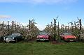 MG Bloesemrit op 24-4-2016 org. Jos&Marie-lou  (245)